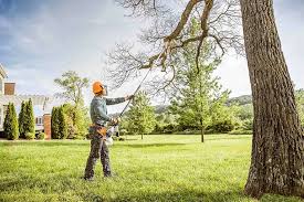 Best Seasonal Cleanup  in Kaibab Estates West, AZ